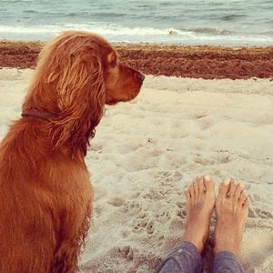 Meet your Posher, Marly